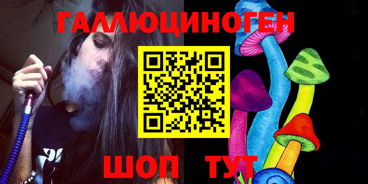 Галлюциногенные грибы Psilocybe Искитим