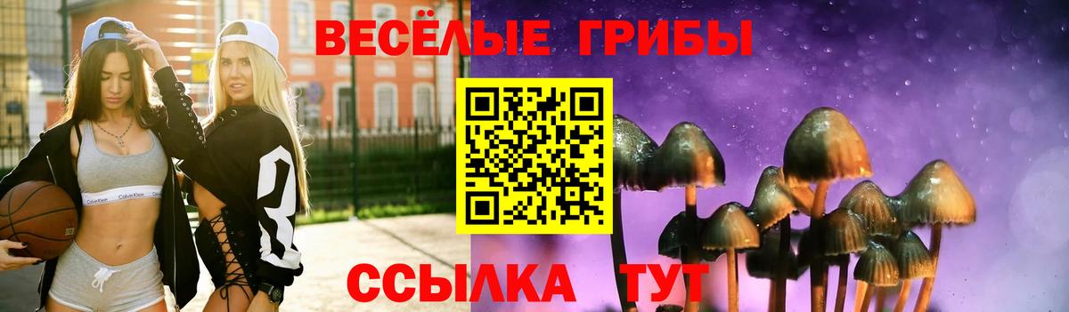 Искитим  Галлюциногенные грибы прущие грибы  Псилоцибиновые грибы прущие грибы  Вход с VPN 